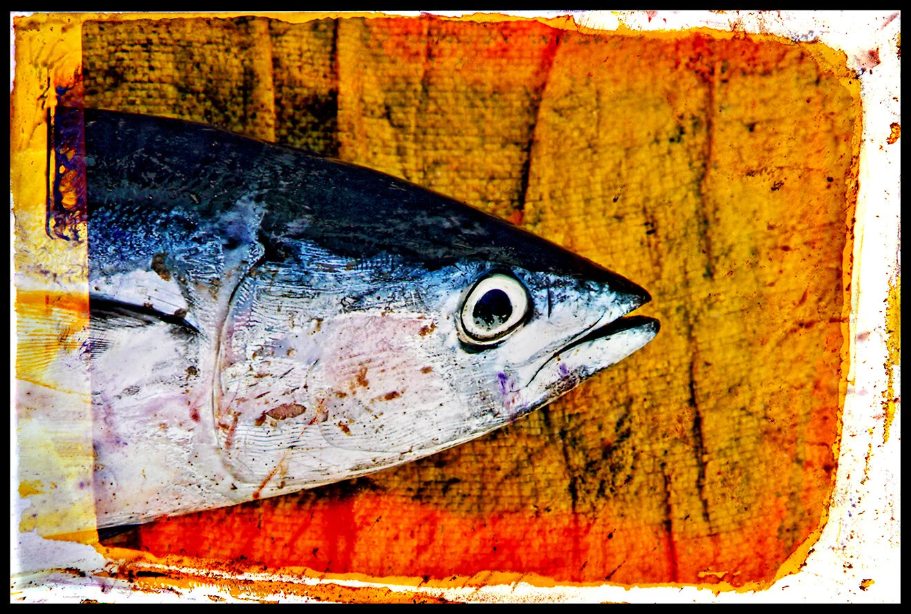 Sahwa portrait.