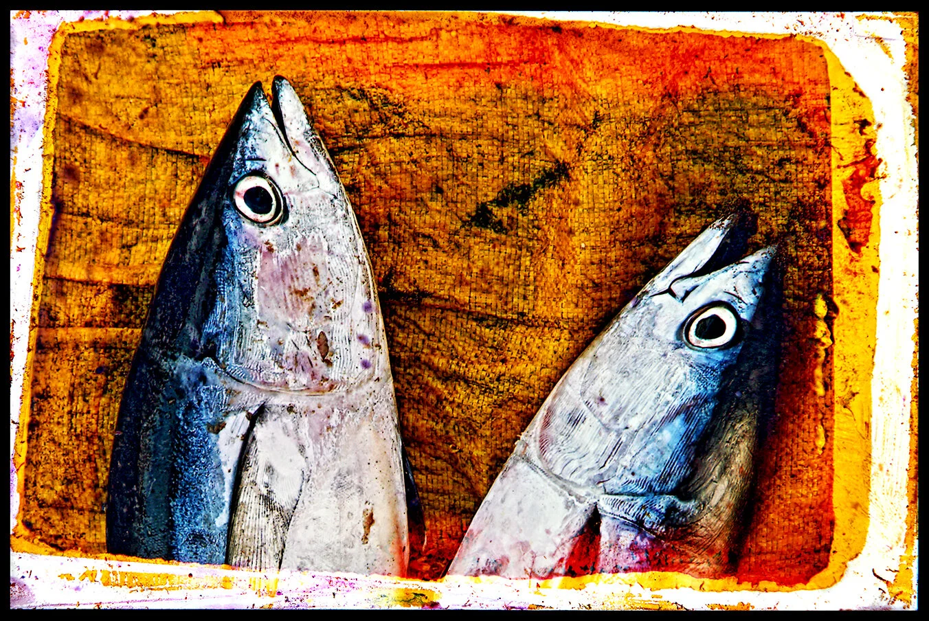 Twin Tunas. 