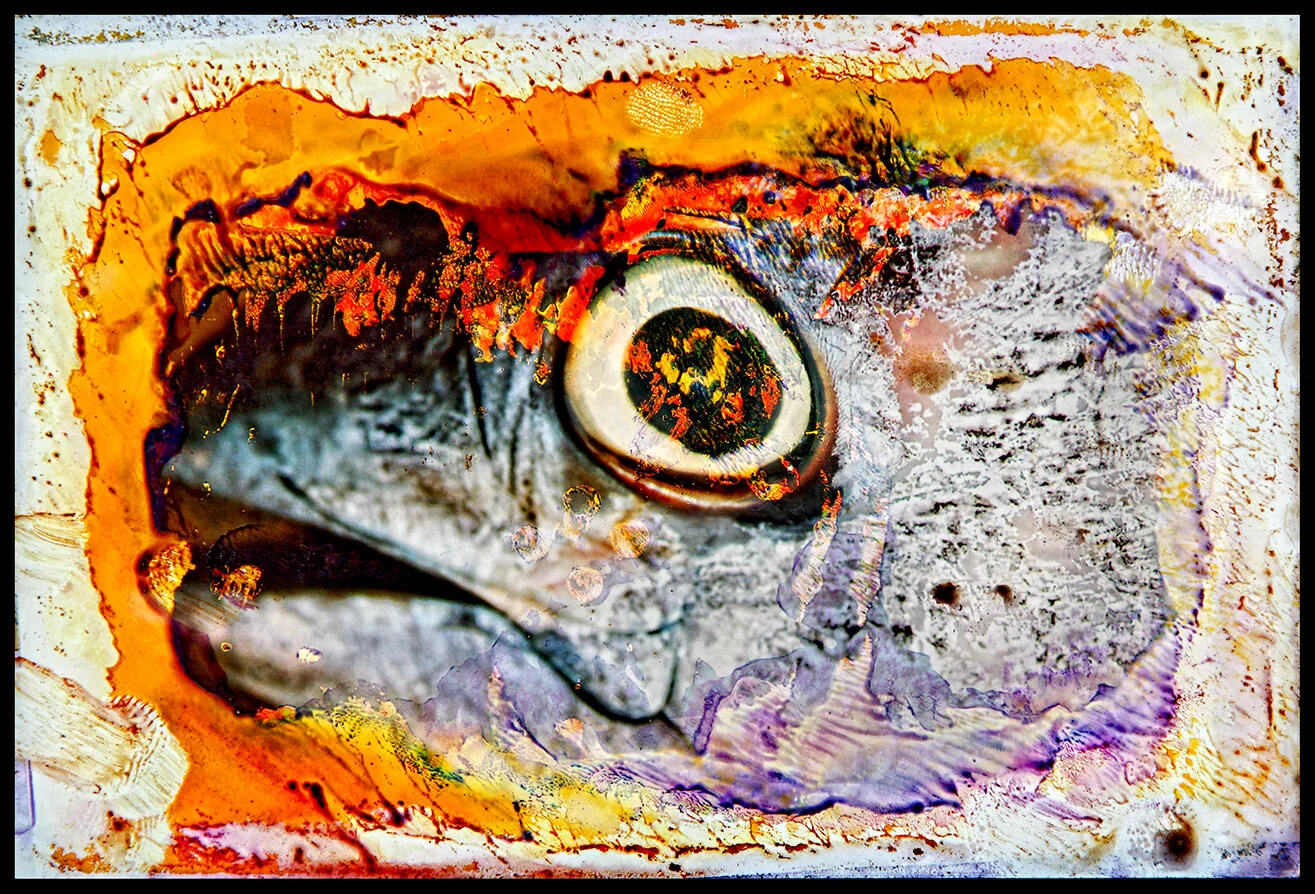 The Eye 3.