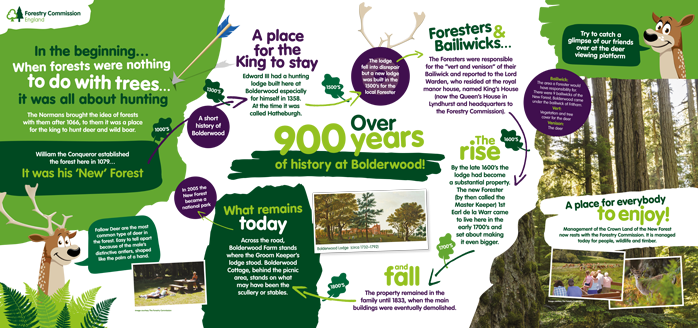 Bolderwood, New Forest 