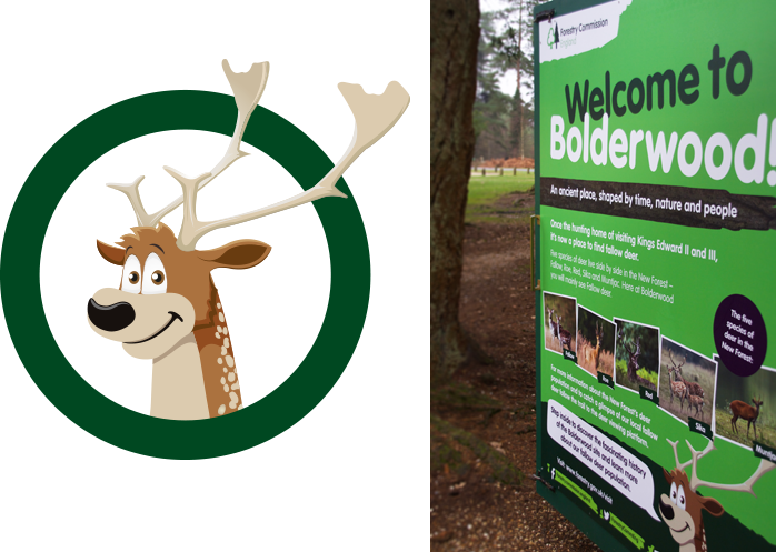 Bolderwood, New Forest