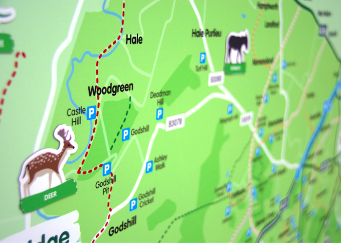 Bolderwood, New Forest 