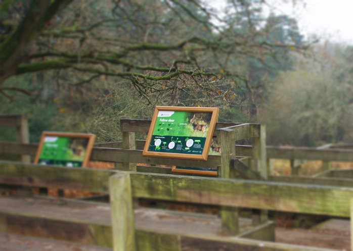 Bolderwood, New Forest
