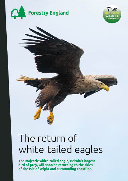 Eagle reintroduction