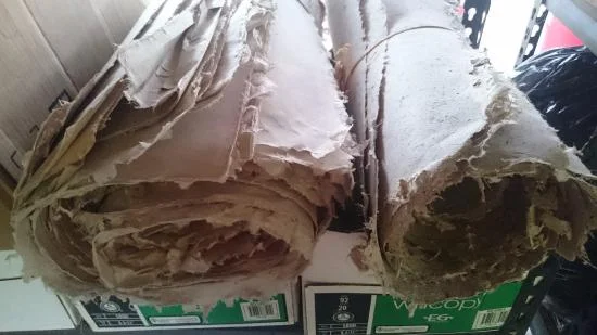 green-banana-paper-company.jpg