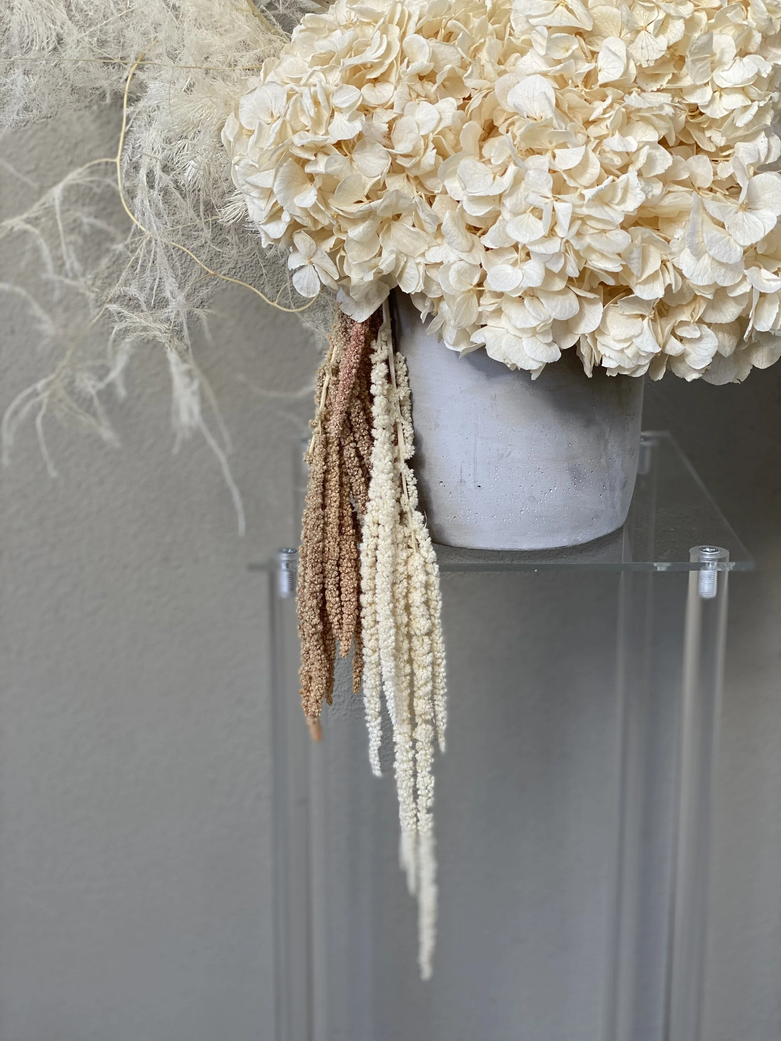 366C29A8-0EC3-4235-AD7B-1849358A8ACC