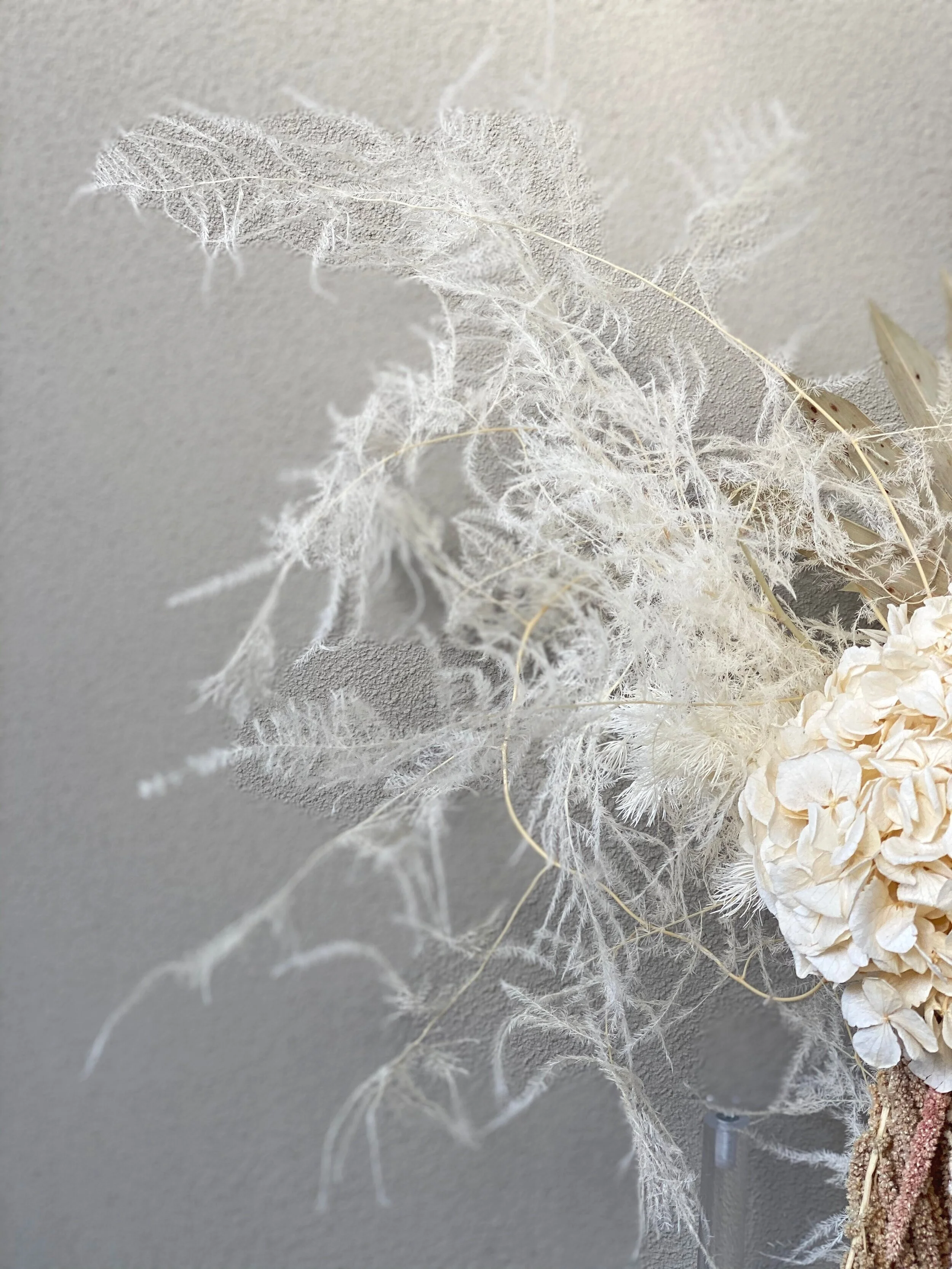 5421C15B-1388-4F3A-80B0-382E1098E8D2