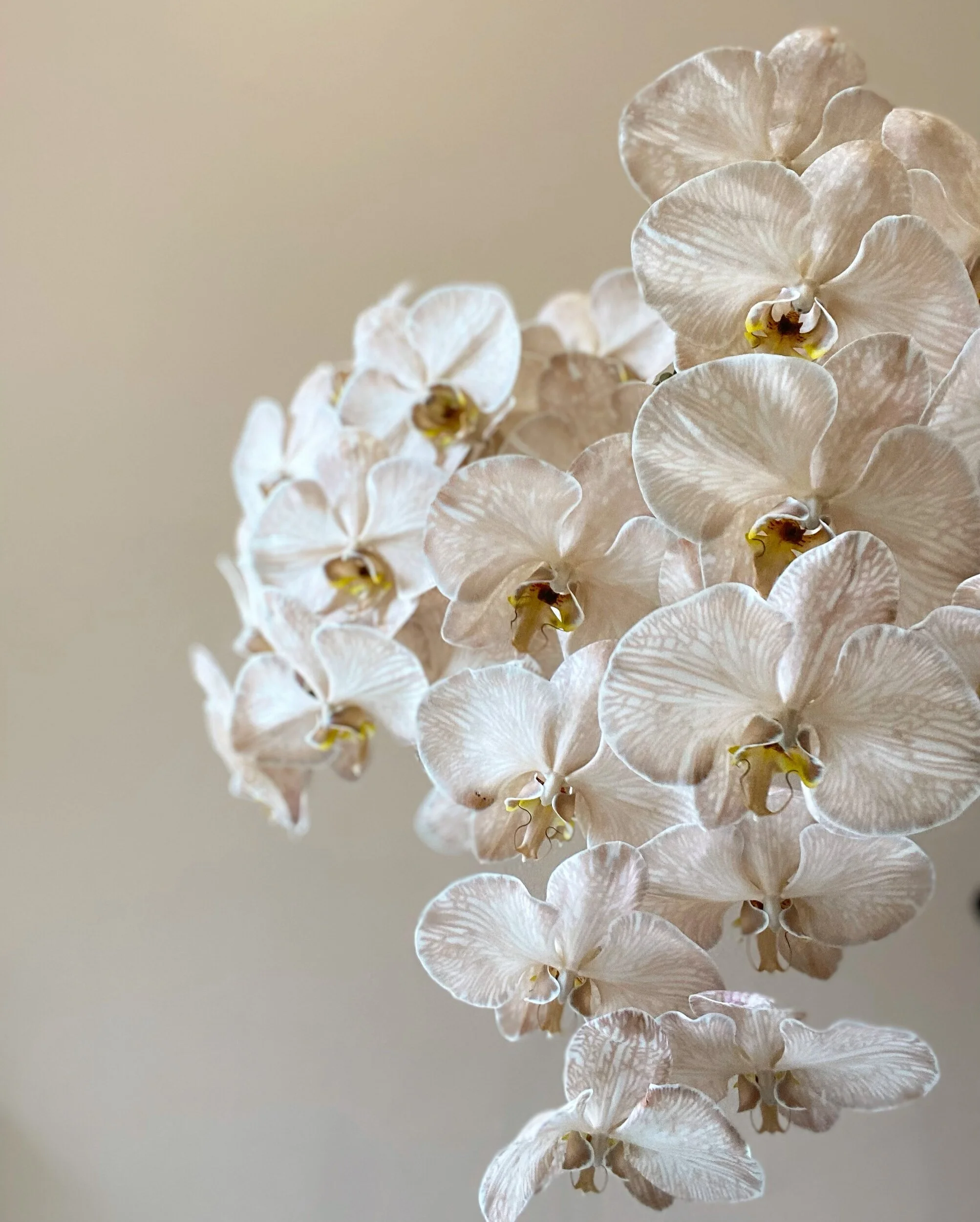 D25FD460-0F54-4963-B935-C477B42DEA24