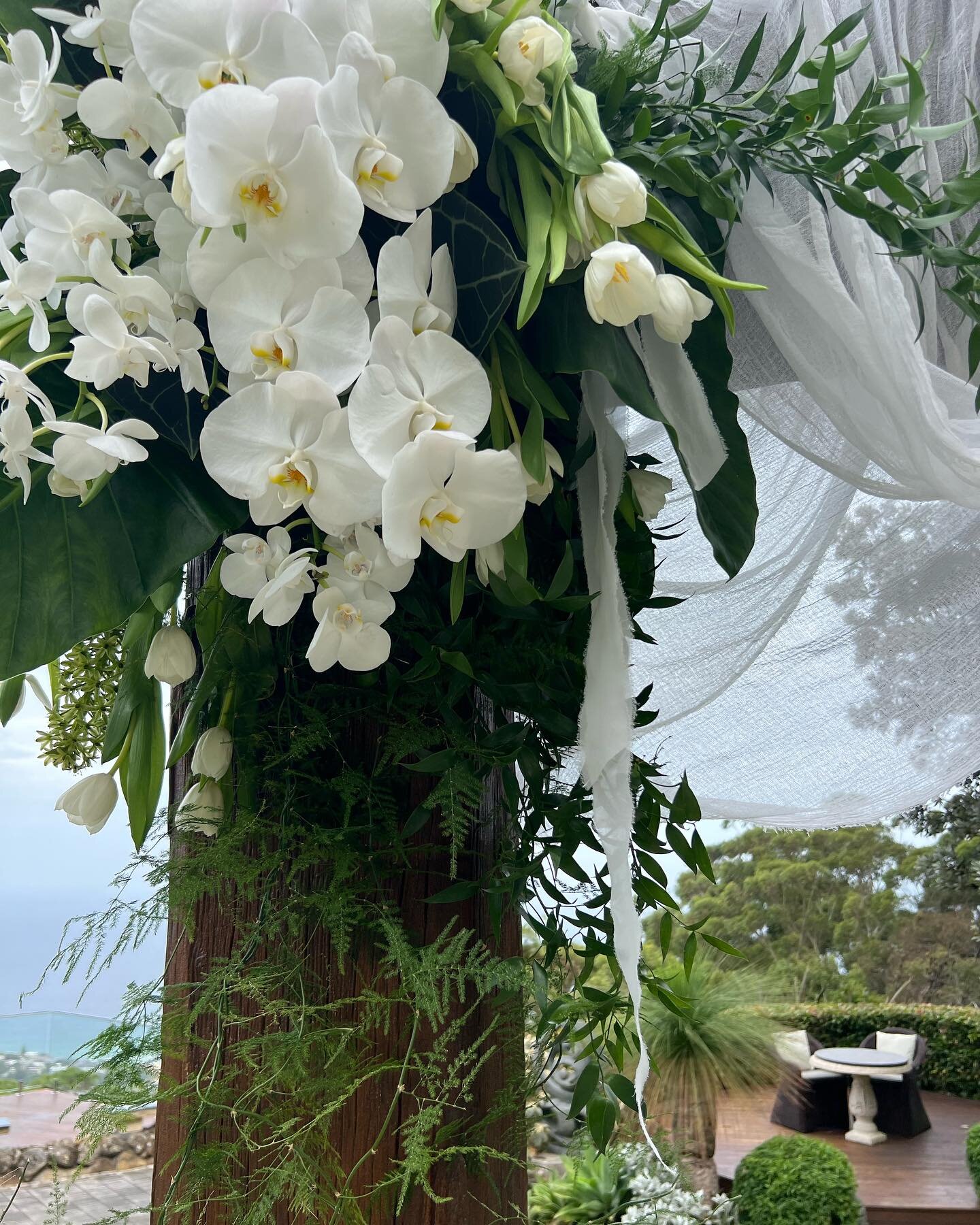 The dreamiest ceremony arch 🤍