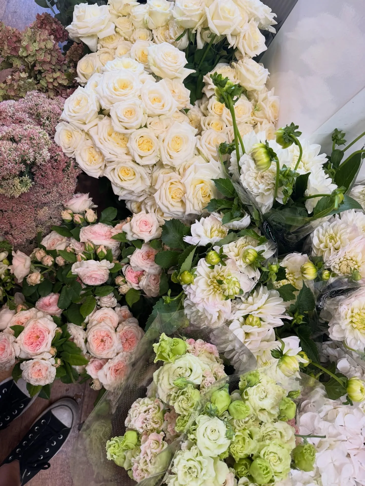 Busy little bee 🐝