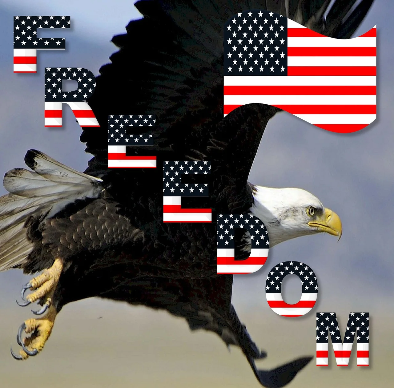 Sometimes as Americans we forget that freedom is not an entitlement but it is something that we work towards and we fight for and we demand as our right as Americans to have that freedom. Replace these congressmen who are taking away our rights and our freedom!!!! Recall them! Replace them these Republicans who do not want you to have your rights and your freedom! stand up for what is right and for what our country is been founded on… Stand up now! Not tomorrow or the next day because by then it will be too late! Stand up today and let your voice be heard!