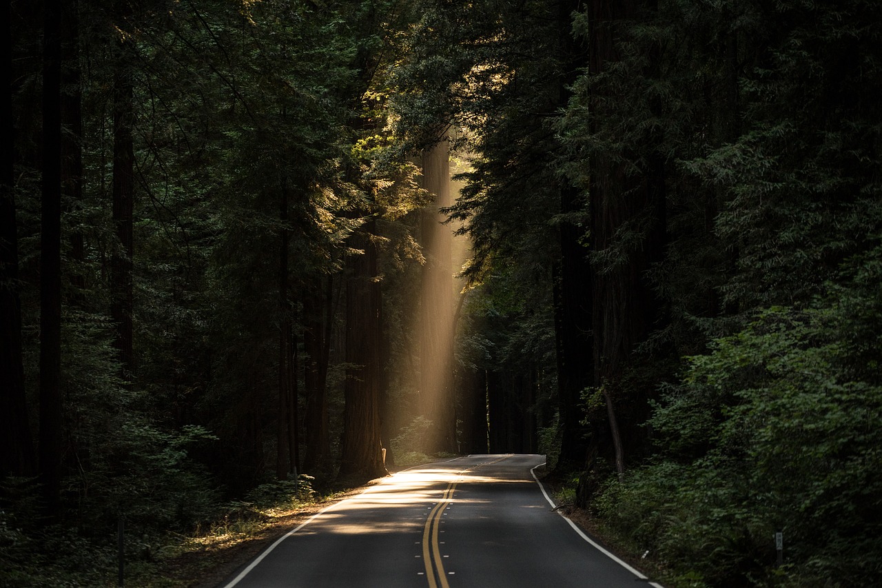 Today is a day of being direct with a sense of clarity and a desire to be productive. There is also a sense of not enough challenge and everyday feeling the same as the day before, this can lead to dissatisfaction and unrest so watch that you do not become confrontational.