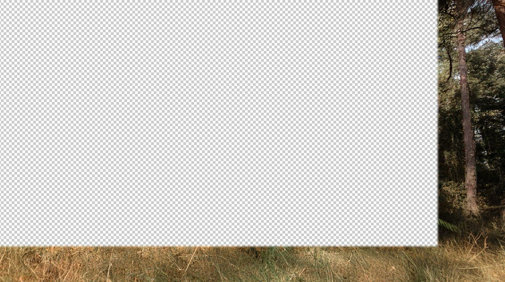Image with AI generated on the sides