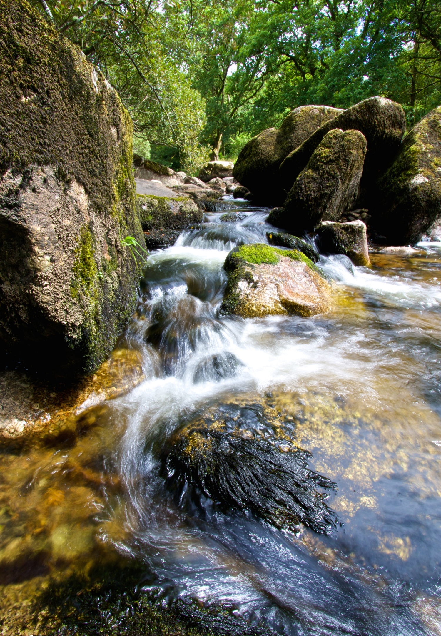 River Dart, Dartmoor