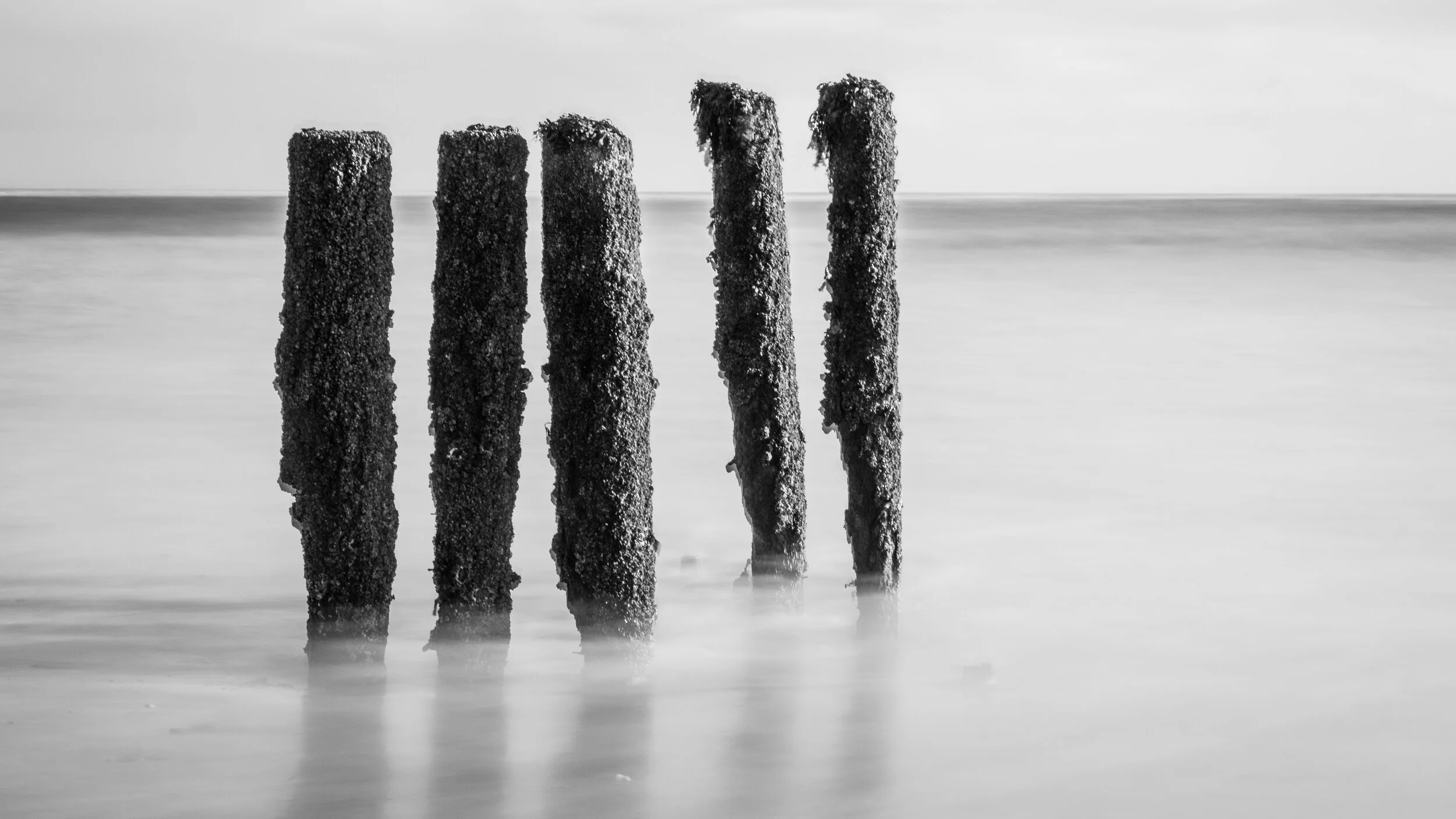 Passing Time In Dawlish