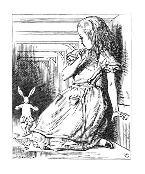 alice in wonderland.png