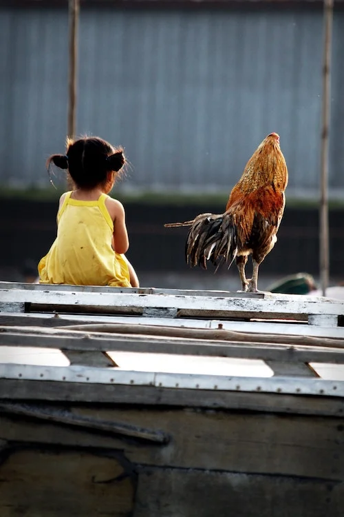 girl and rooster.jpg