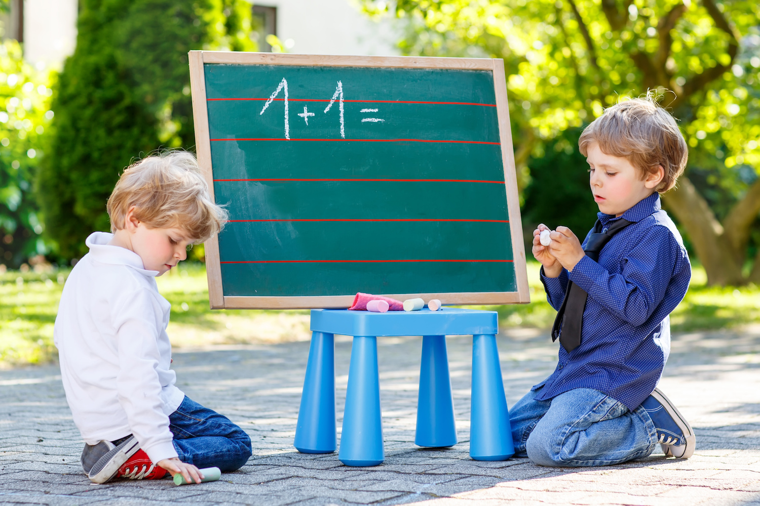 Math, Cake and Some Facts for Homeschoolers