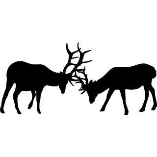 elk_fight006=_ss.gif