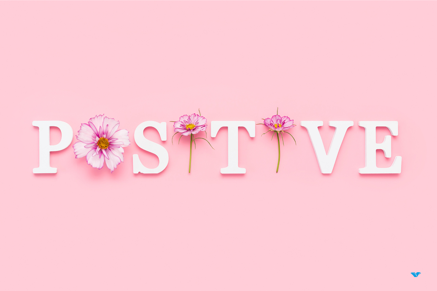 End Your Homeschooling Year Positively: Top Tips 