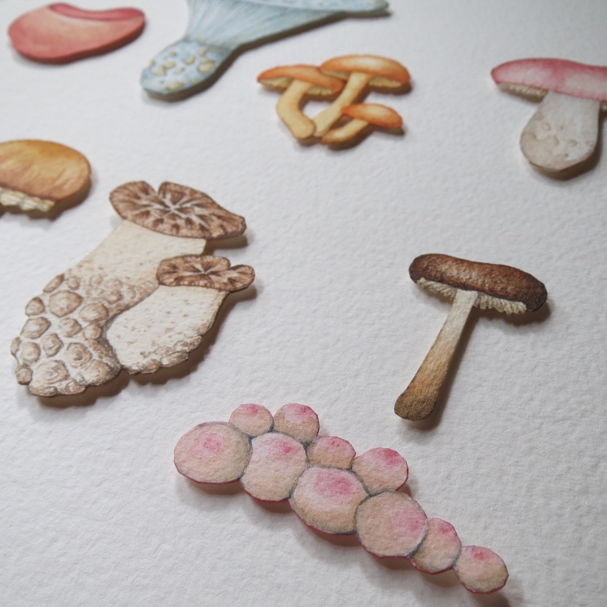 Mushrooms, in situ, detail.jpeg