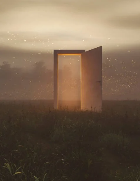 A Conversation about UFO's, Skin Walker Ranch, and Disclosure with Saint Germain