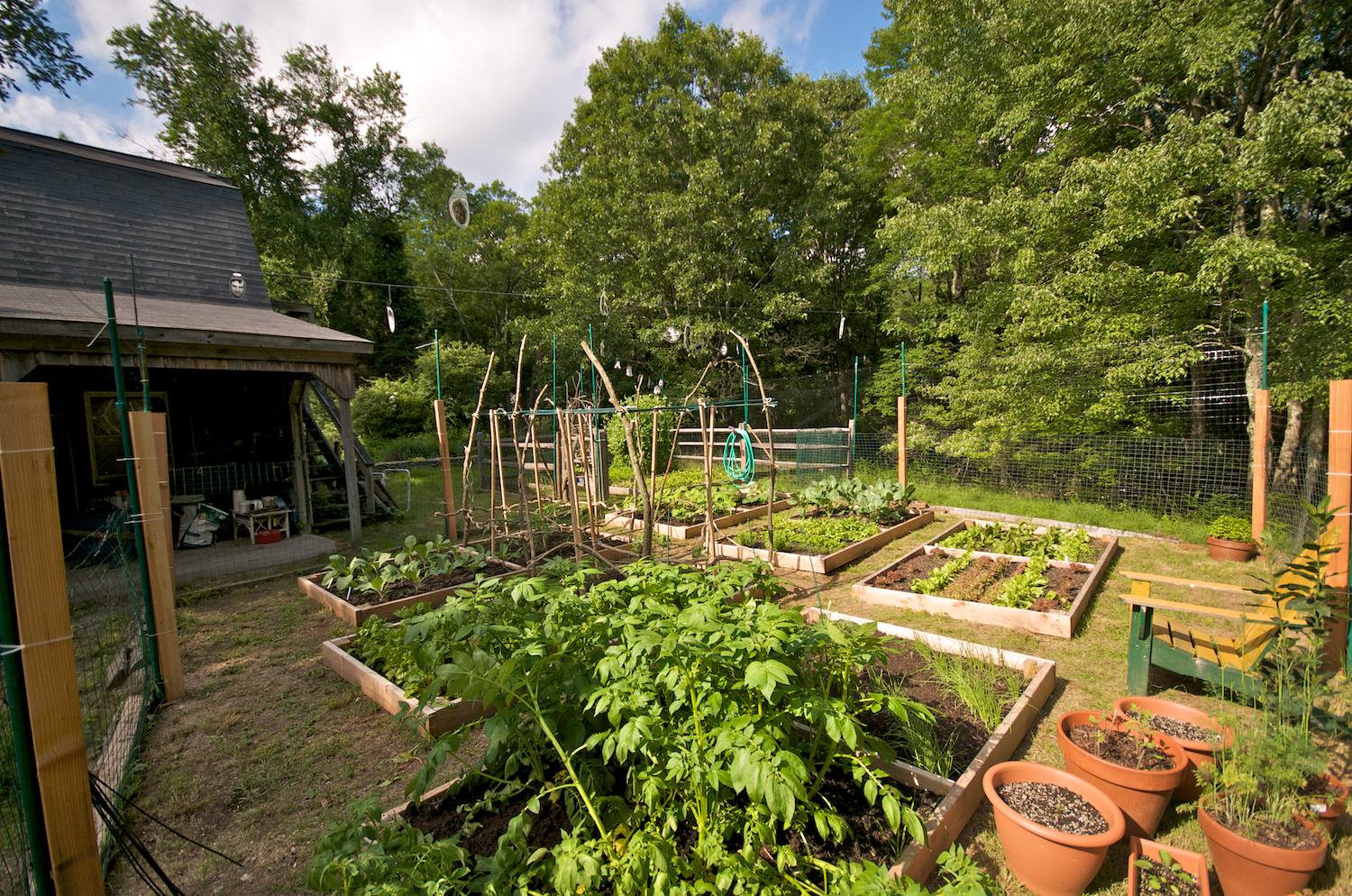Whale Patch, Pound Ridge, NY :: © Jon-Marc Seimon, 2009