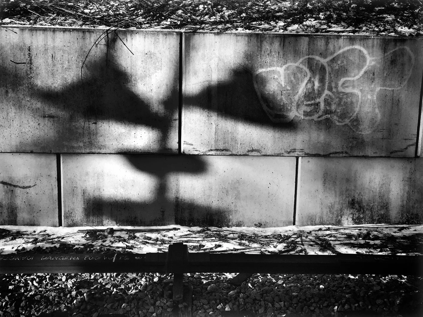 Obey :: Katonah, NY