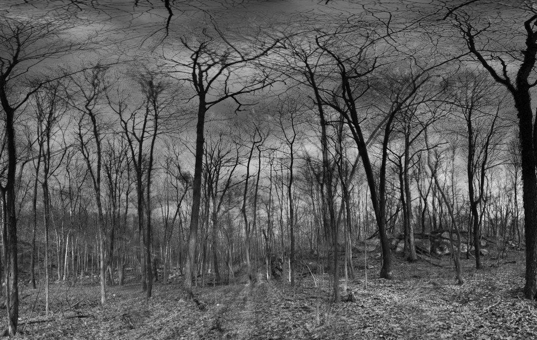 ©Jon-Marc Seimon 2010