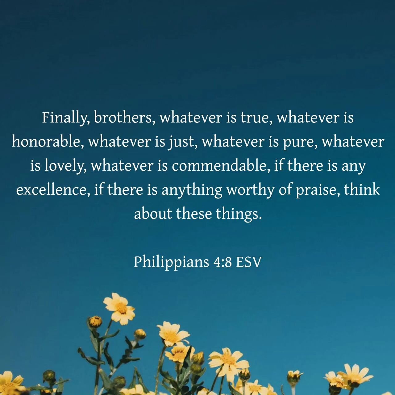 ‭‭Philippians 4:8 ESV‬‬

Finally, brothers, whatever is true, whatever is honorable, whatever is just, whatever is pure, whatever is lovely, whatever is commendable, if there is any excellence, if there is anything worthy of praise, think about thes