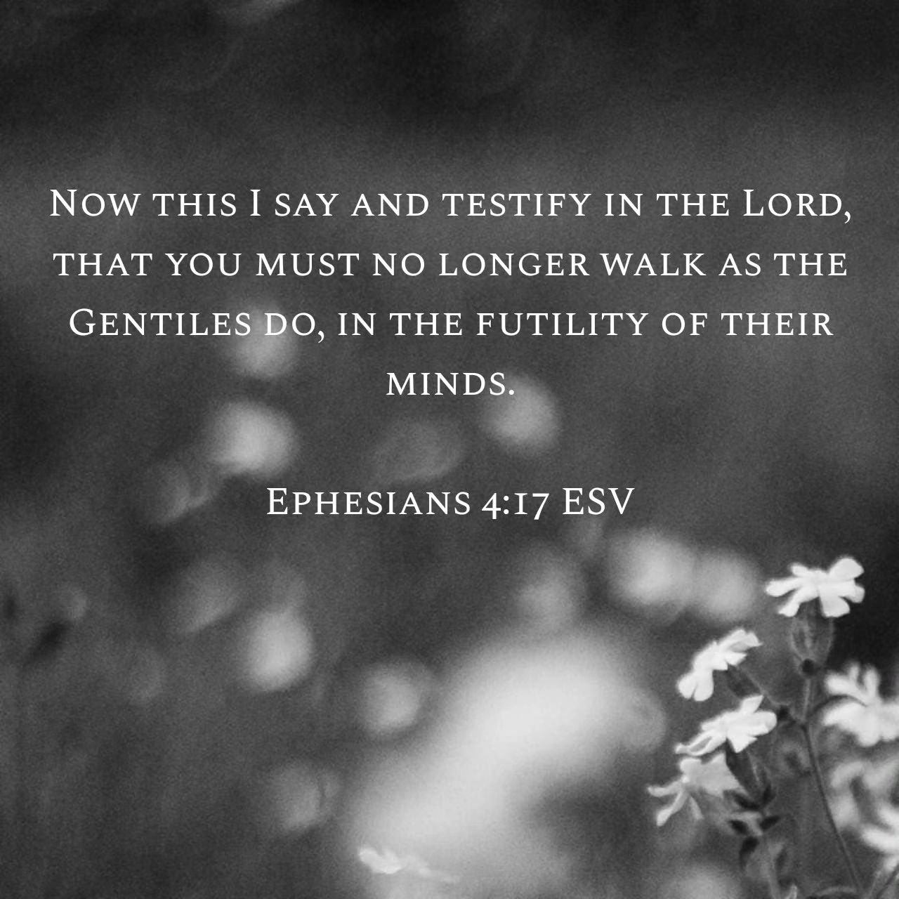‭‭Ephesians 4:17-20 ESV‬‬

[17] Now this I say and testify in the Lord, that you must no longer walk as the Gentiles do, in the futility of their minds. [18] They are darkened in their understanding, alienated from the life of God because of the ign