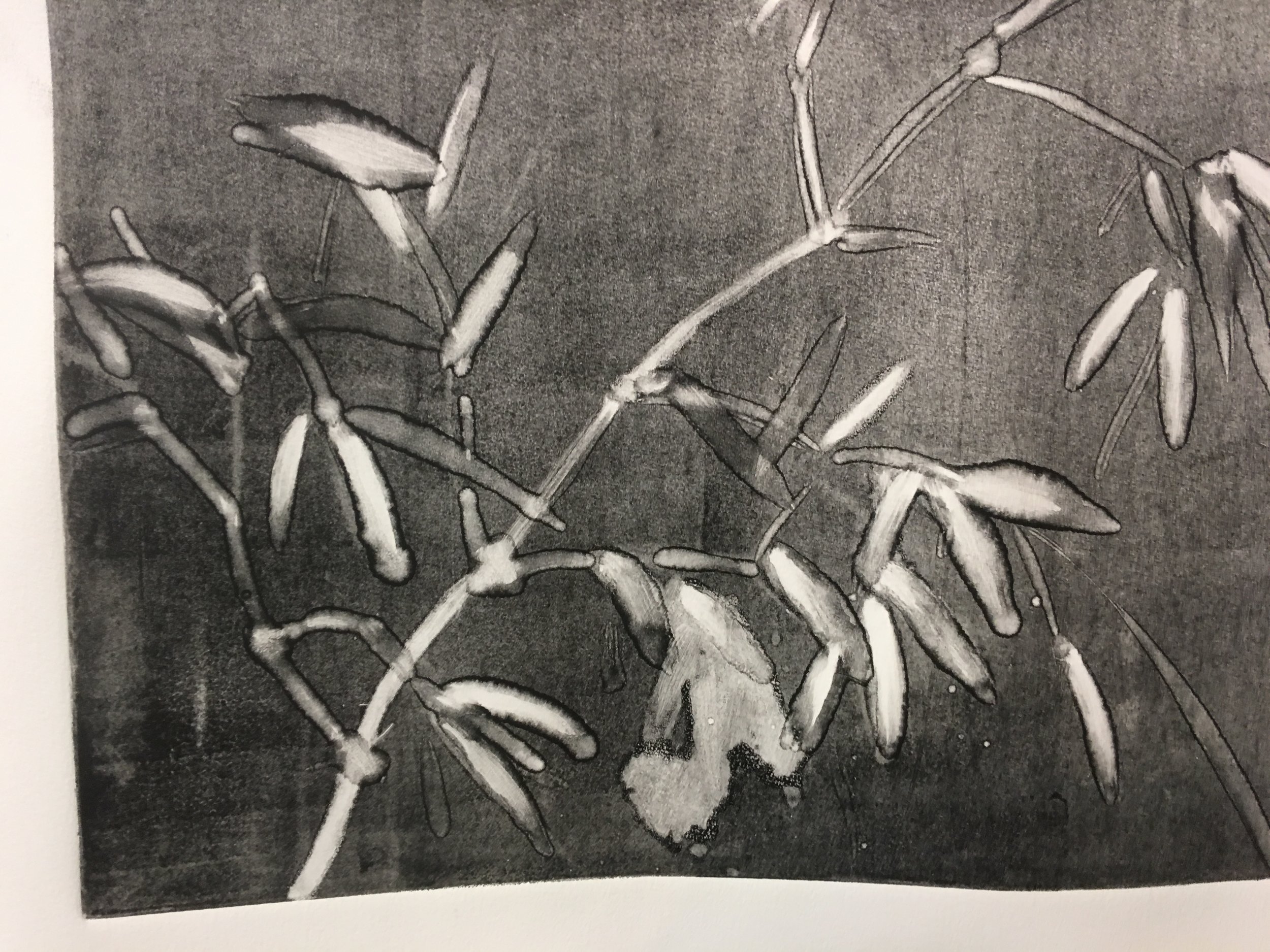 Bamboo in Snow (2016) monoprint