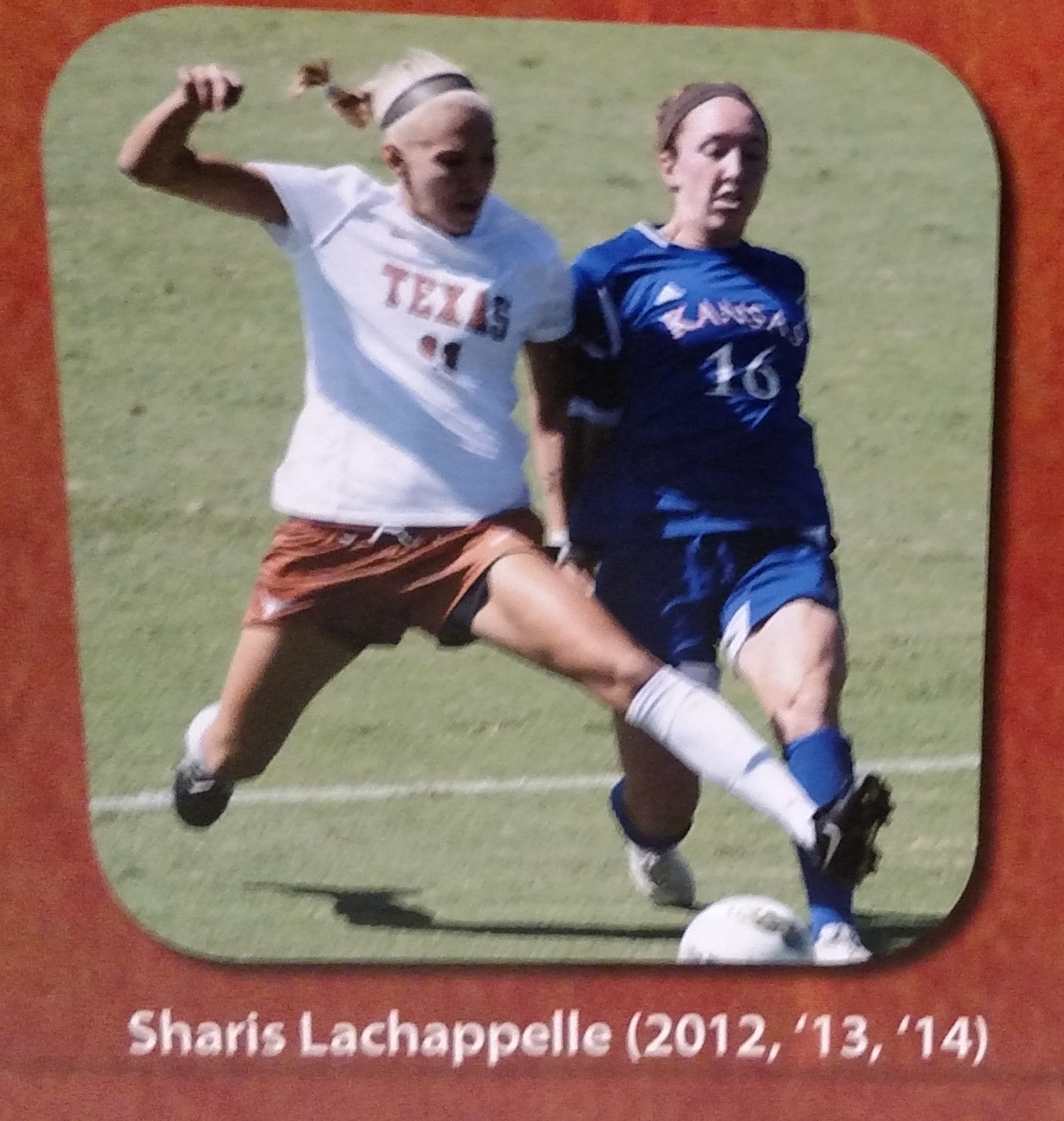 Sharis LaChappelle-All newcomer team.