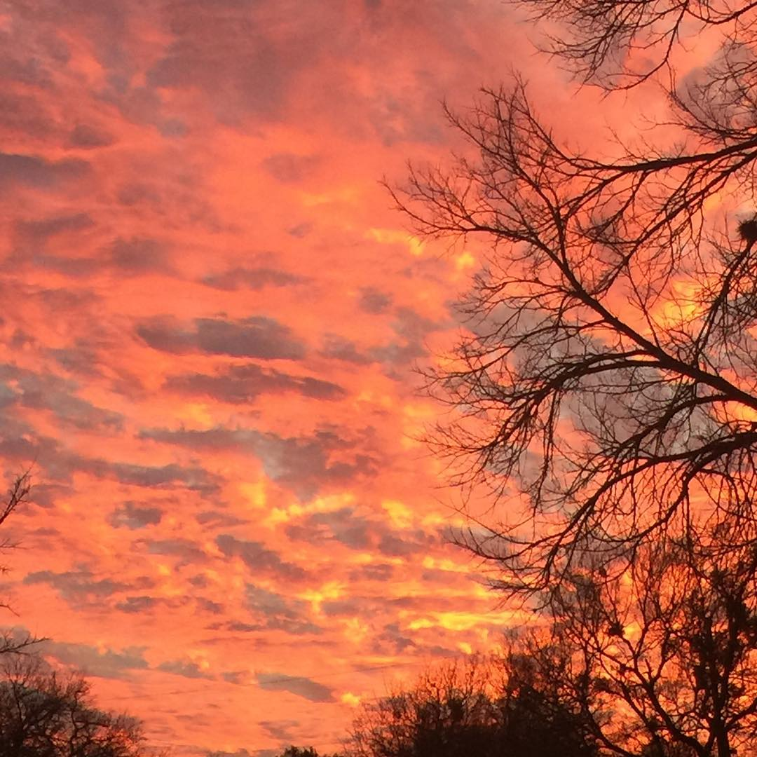 49676592_10156267279618198_3244894697465839616_o (2019_01_19 14_08_31 UTC).jpg