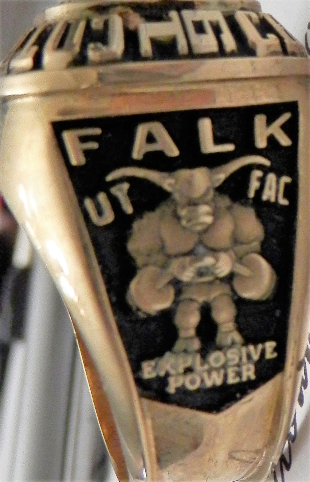 Falk Power Ring