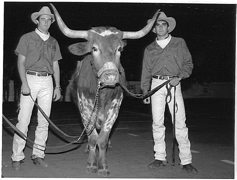 bevo and silver  spurs revised.jpg