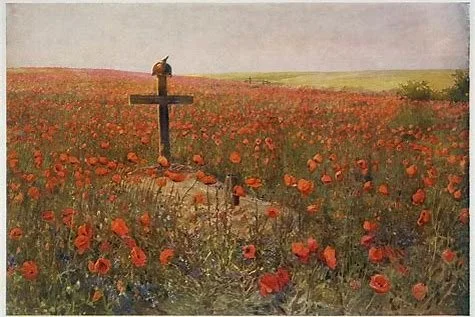 Flanders Field 3.jfif