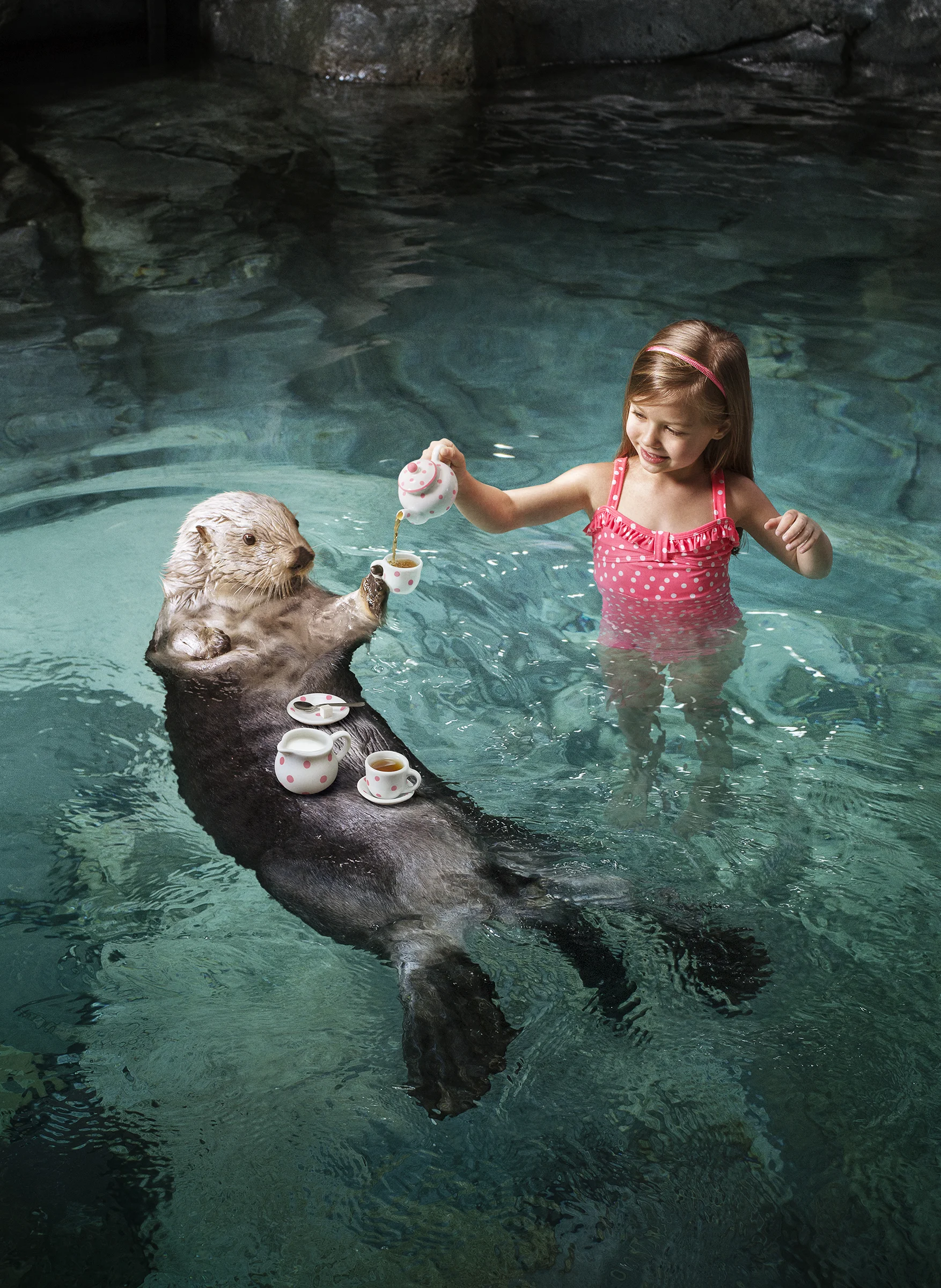 otter_teatime_final.jpg