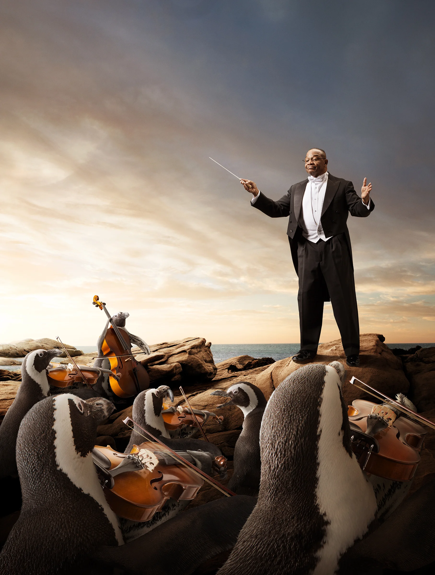 penguin_final.jpg