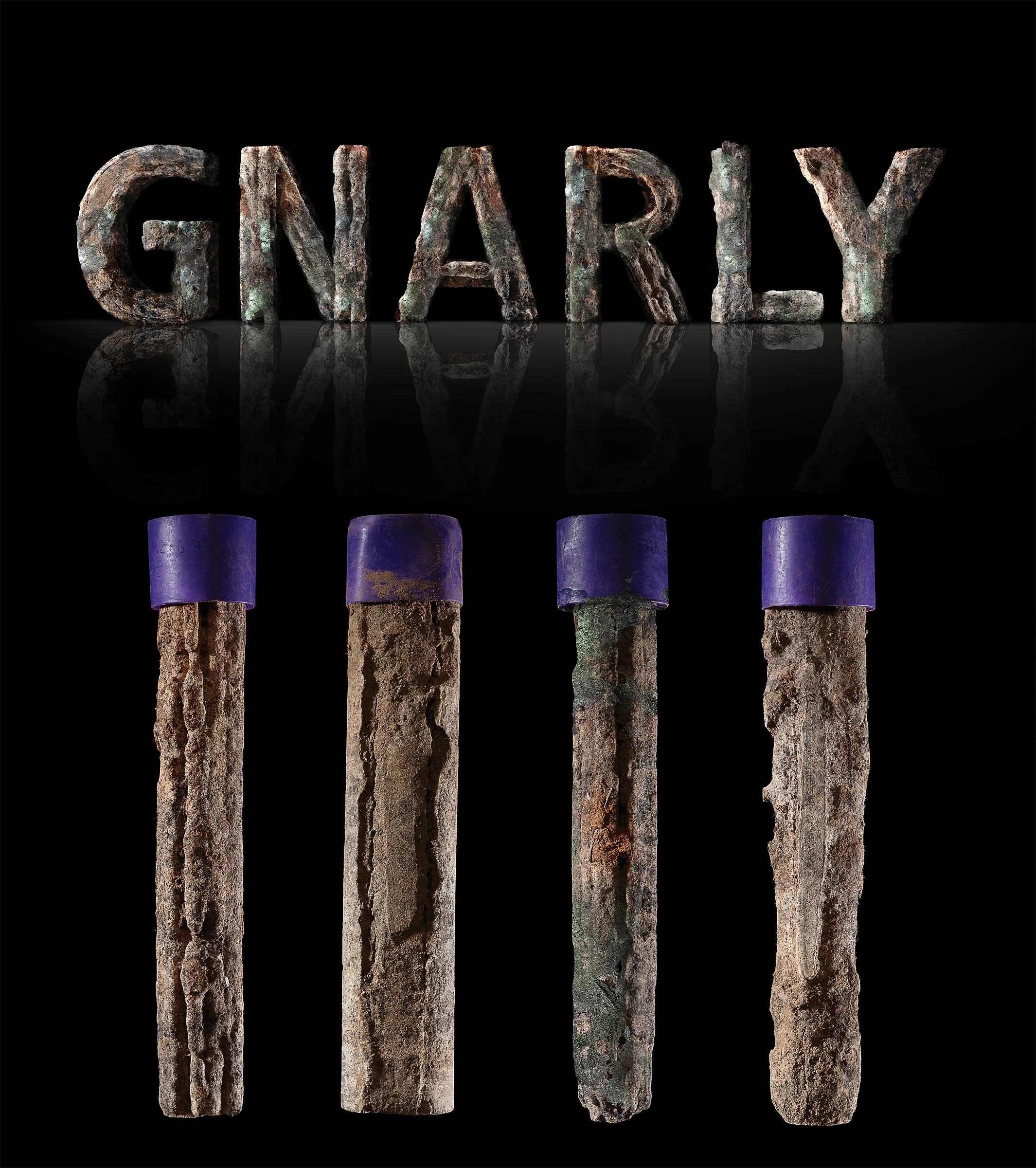 gnarly_type.jpg