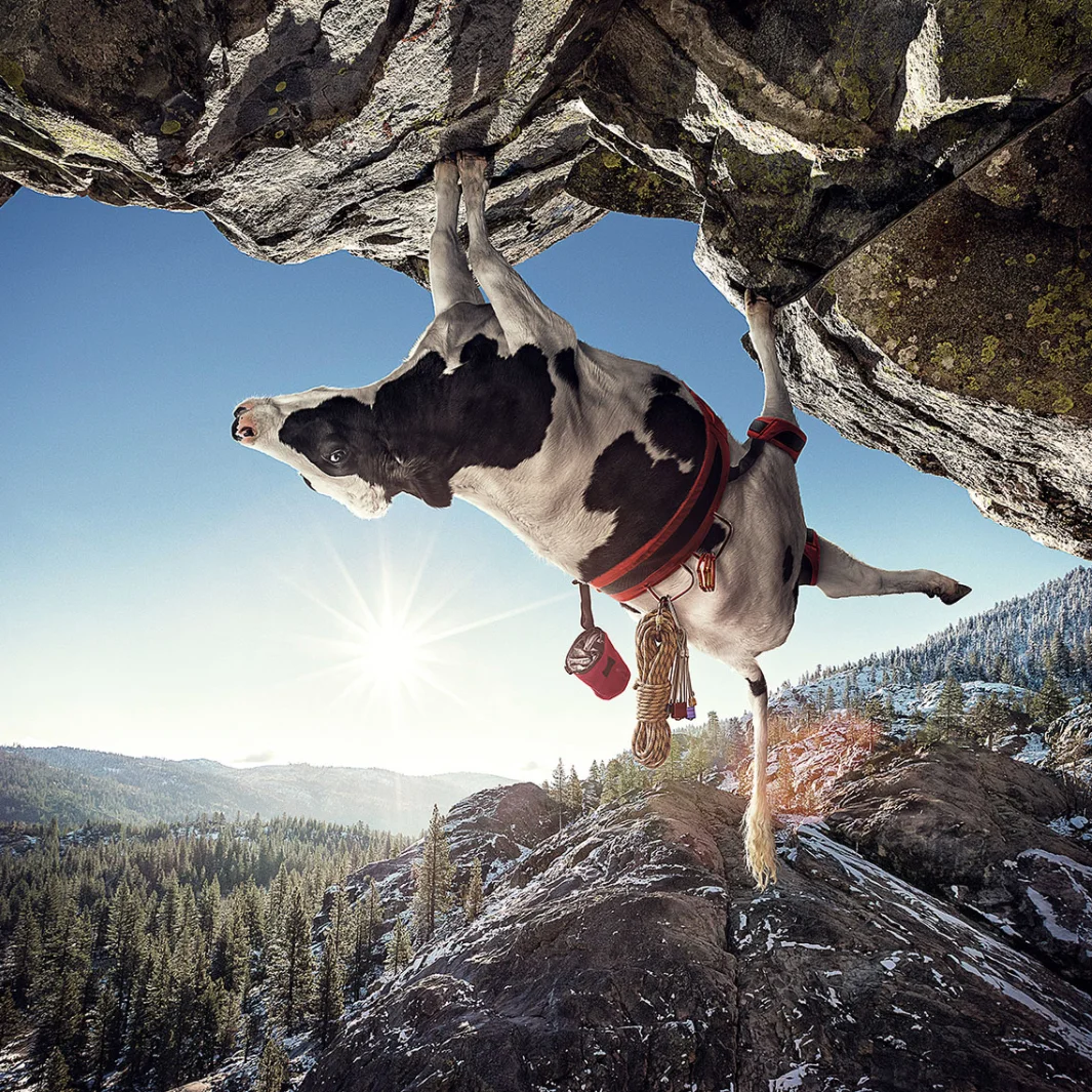 chick-fil-a_rockclimbing.jpg