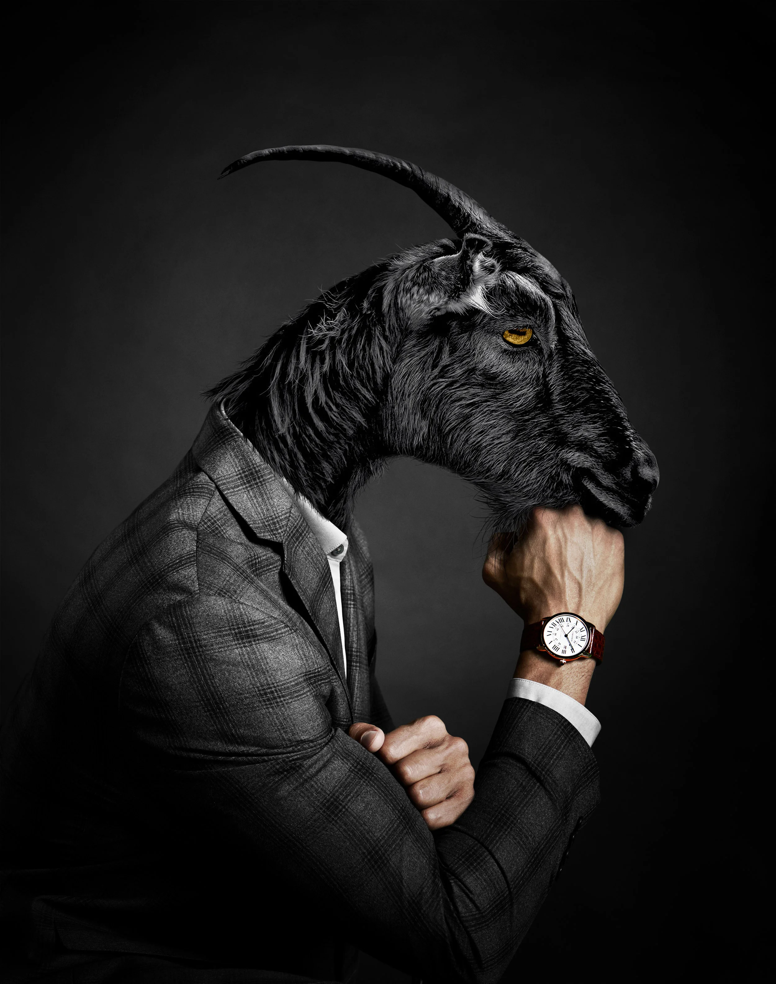 CC_TrustCamp_Goat_b_forme.jpg