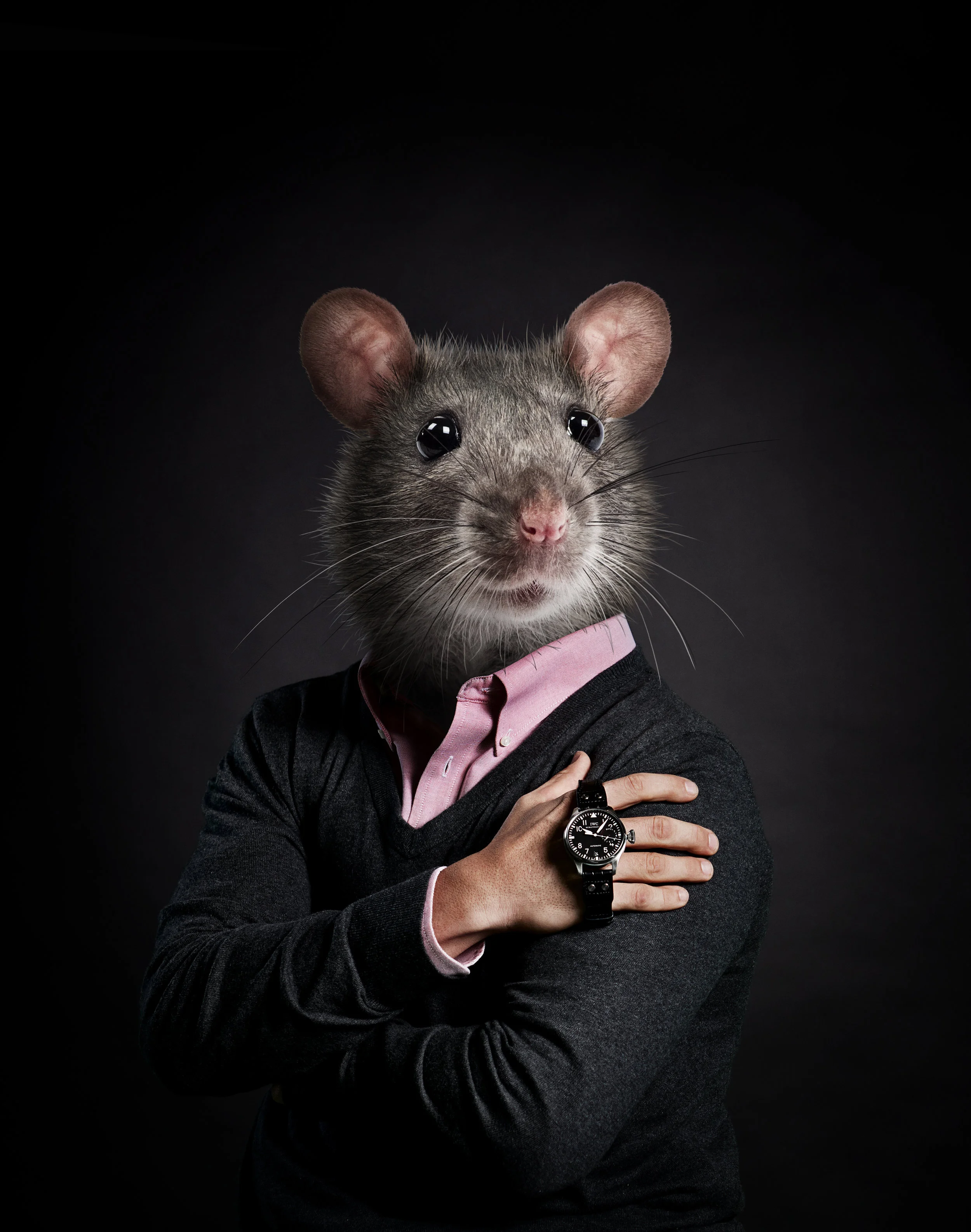 CC_TrustCamp_Mouse_a_forme.jpg