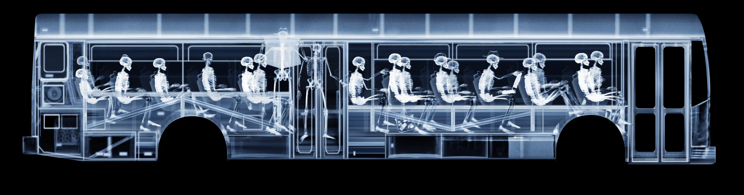 Miami xray_buswrap.jpg
