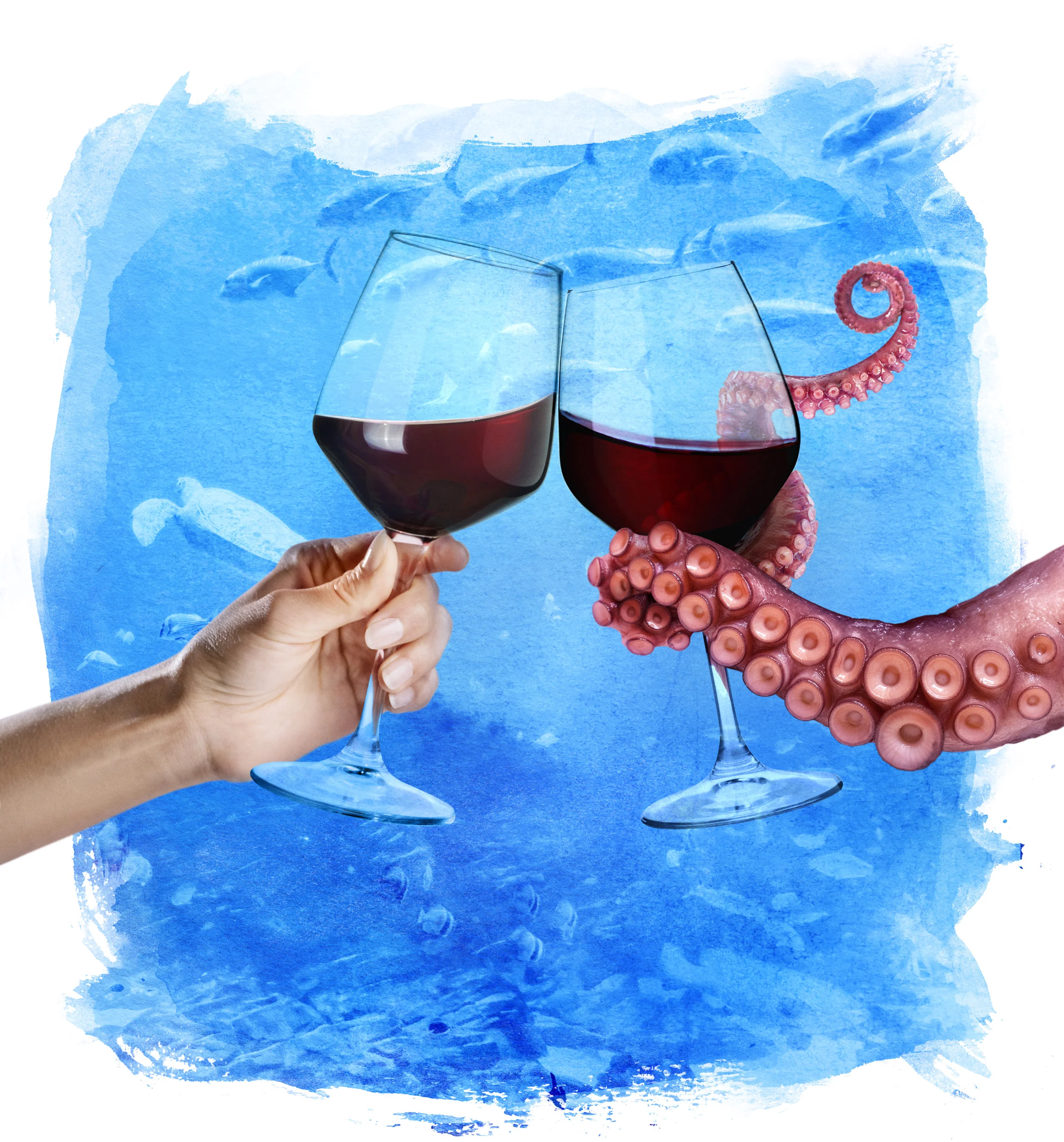 Aqua_Vino_Squid_e_465Crop.jpg