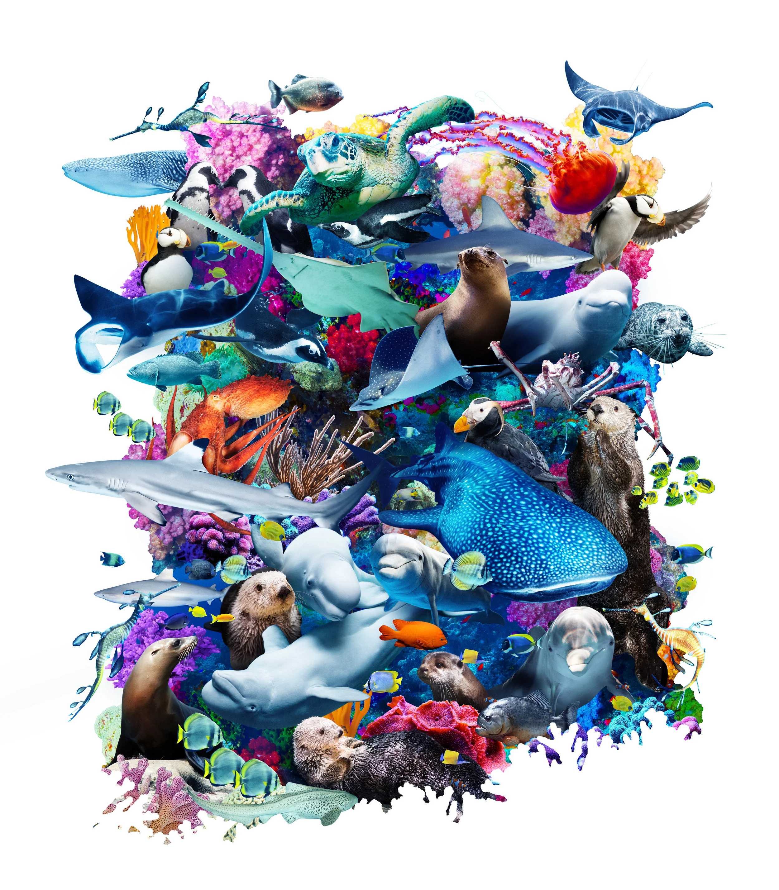 GAquarium_Where_Guestbook_Vertical_c@465.jpg