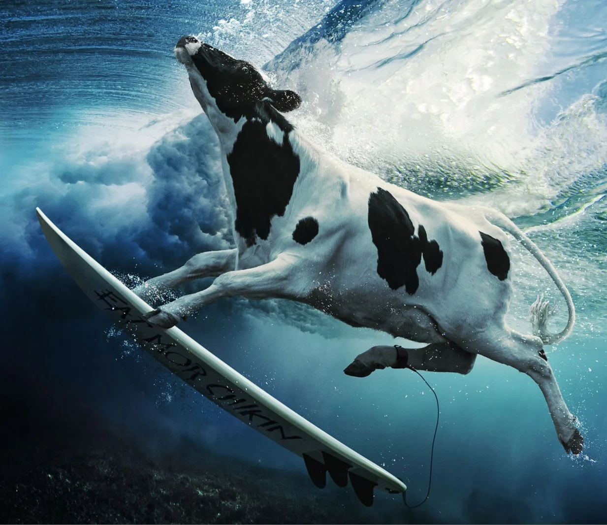chick-fil-a_surfing.jpg