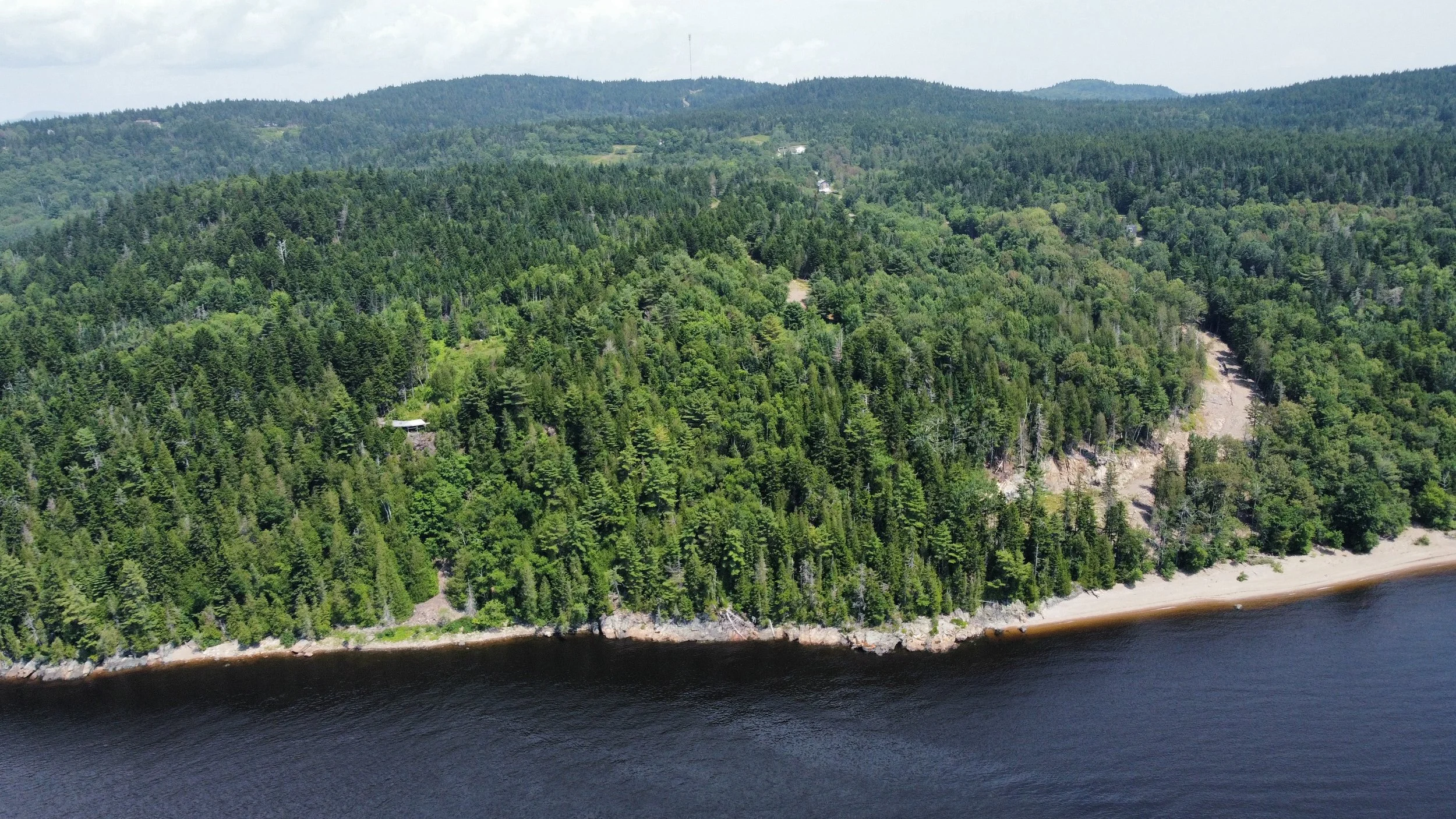dji_fly_20240715_123142_267_1721057507672_photo_optimized.JPG