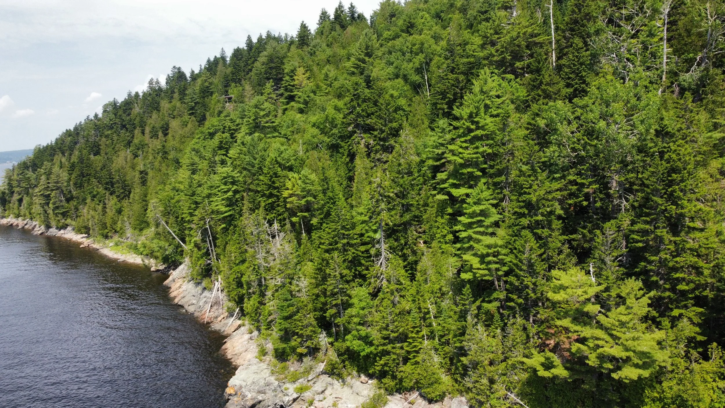 dji_fly_20240715_121938_260_1721057099487_photo_optimized.JPG