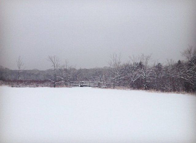 winter lake scene | photo by Phoebe Stout